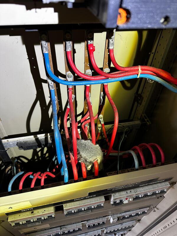 Photo de chantier Bruno Baronnet Électricien 3